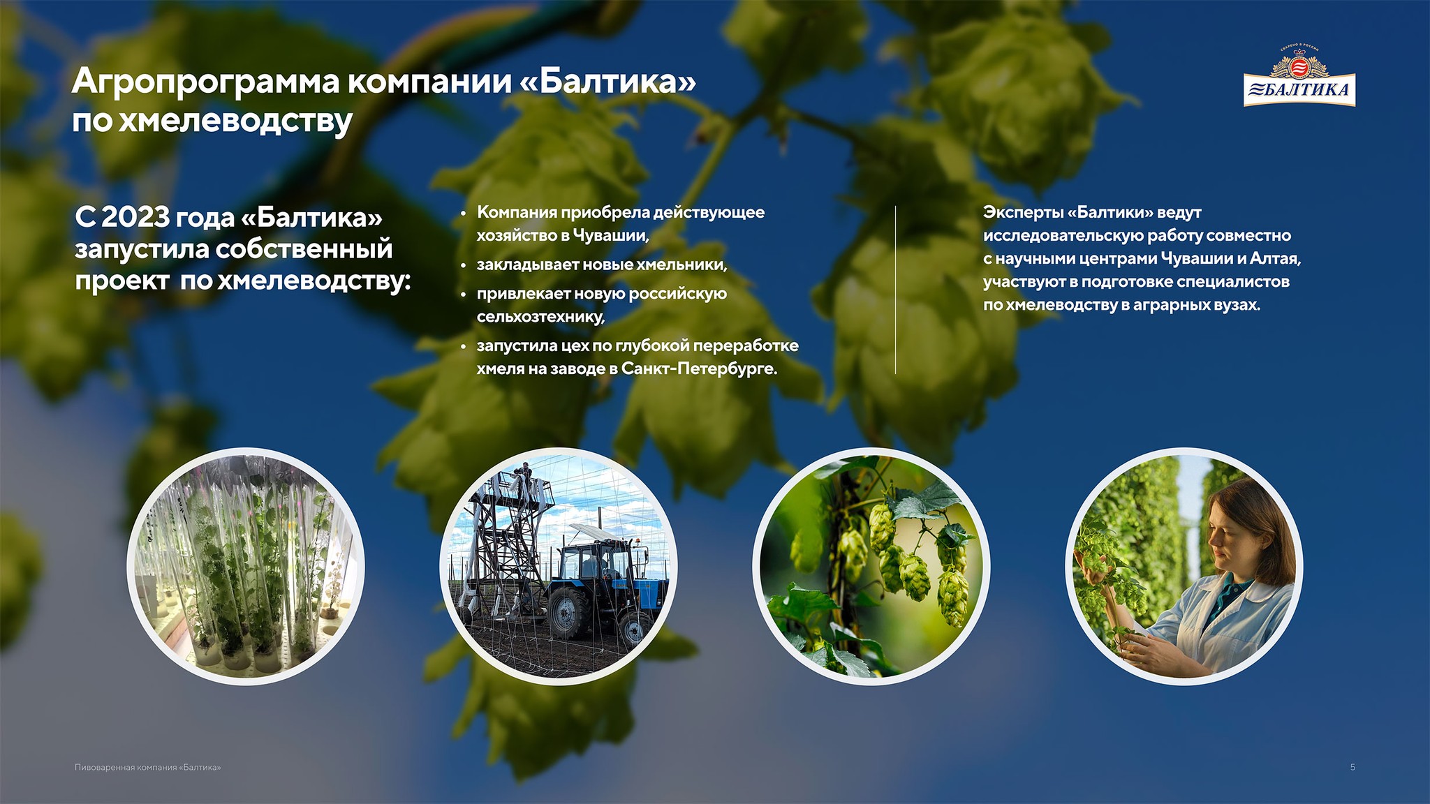 Презентация пивоваренной компании Балтика