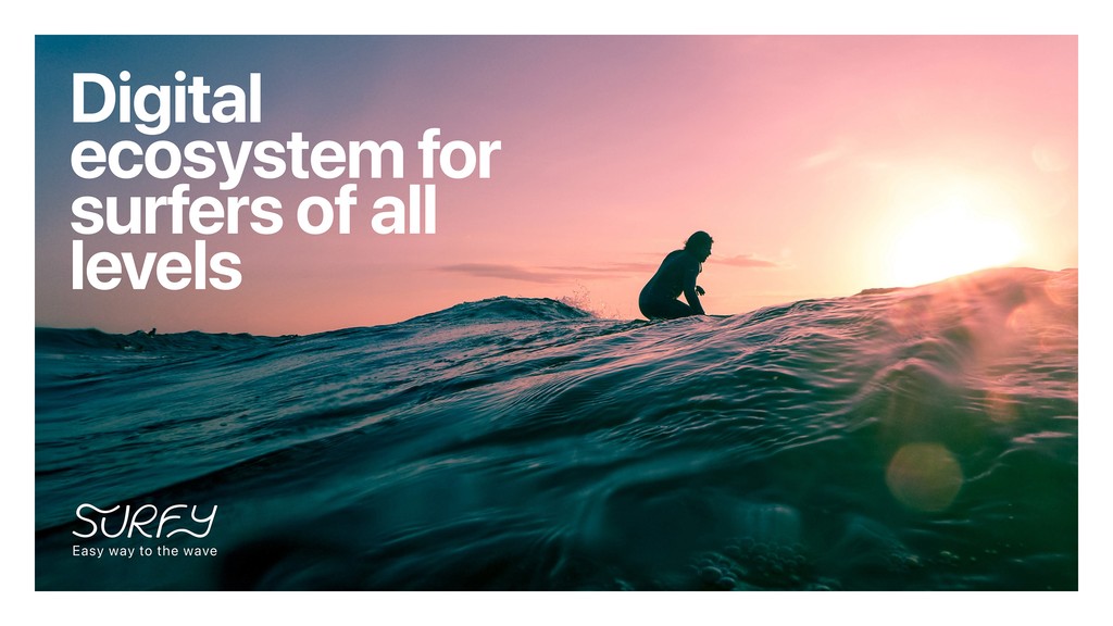 Дизайн питч-презентации проекта Surfy